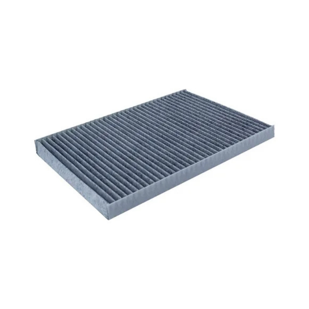 Filtro De Aire Gonher GAC10